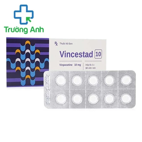 Vincestad 10 - Thuốc điều trị rối loạn tuần hoàn máu não của Stella