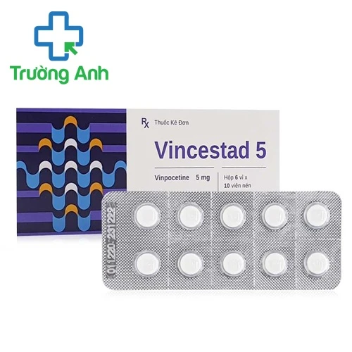 Vincestad 5 - Thuốc điều trị rối loạn tuần hoàn máu não của Stella