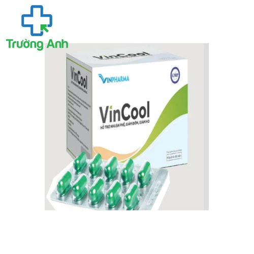 Vincool - Hỗ trợ nhuận phế, giảm đờm, giảm ho