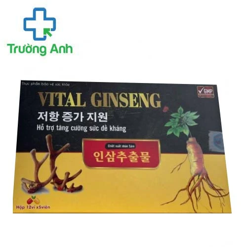Vital Ginseng - Giúp ăn ngon, ngủ ngon, hấp thụ tốt, tăng cân