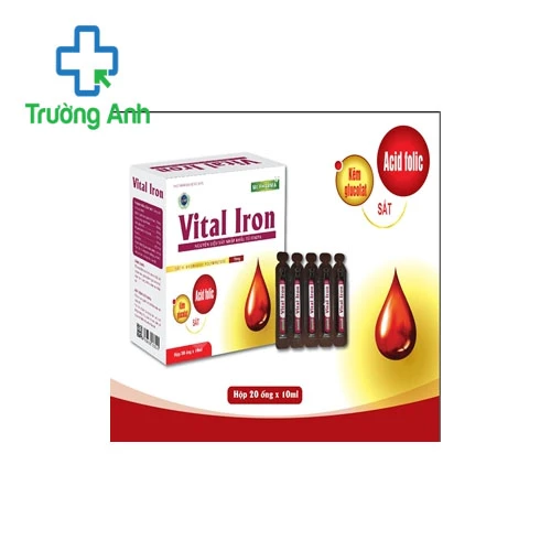 Vital Iron - Bổ sung Sắt, Acid folic cho cơ thể