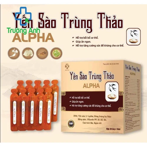 YẾN SÀO TRÙNG THẢO ALPHA - Giúp bạn bồi bổ cơ thể