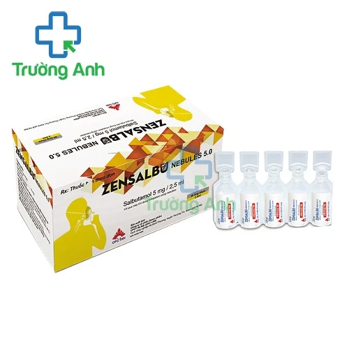 Zensalbu nebules 5.0 CPC1HN - Thuốc điều trị hen nặng cấp tính