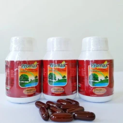Promax - Thực phẩm chức năng tăng cường sức khỏe cho cơ thể