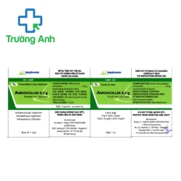 Amoxicillin 0,5g Imexpharm - Thuốc điều trị các nhiễm khuẩn hiệu quả