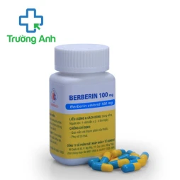 Berberin 100mg Domesco - Thuốc điều trị tiêu chảy hiệu quả