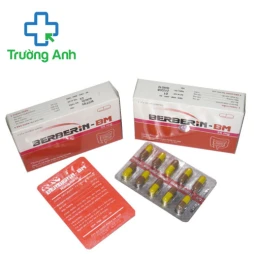 Berberin BM 25mg Hà Nam - Viên uống trị tiêu chảy hiệu quả