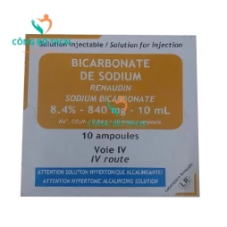 Sodium Bicarbonate Renaudin 8,4%