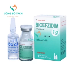 Bicefzidim 1g Bidiphar - Thuốc điều trị nhiễm khuẩn hiệu quả