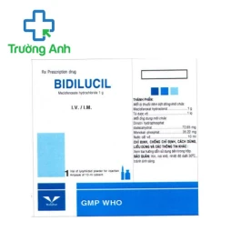 Bidilucil 1g Bidiphar - Thuốc điều trị giảm sút trí nhớ