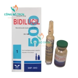 Bidilucil 500mg Bidiphar - Thuốc điều trị suy giảm trí nhớ hiệu quả