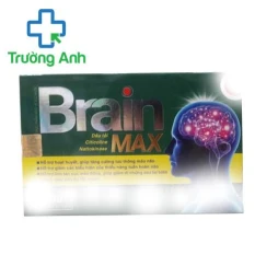 Brain Max - Tăng lưu thông máu não, giảm di chứng sau tai biến