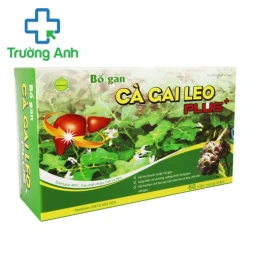 Cà gai leo plus + - Giúp bảo vệ và tăng cường chức năng gan