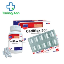 Cadiflex 500 USP (lọ) - Thuốc điều trị thoái hóa khớp hiệu quả