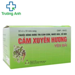 Cảm xuyên hương yên bái (viên) - Hỗ trợ điều trị cảm cúm hiệu quả