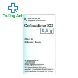 Ceftazidime EG 0,5g Pymepharco - Thuốc điều trị nhiễm khuẩn hiệu quả