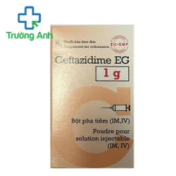Ceftazidime EG 1g Pymepharco - Thuốc điều trị nhiễm khuẩn hiệu quả