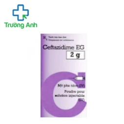 Ceftazidime EG 2g Pymepharco - Thuốc điều trị nhiễm khuẩn hiệu quả