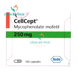 Cellcept 250mg - Thuốc phòng ngừa đào thải khi ghép cơ quan của Italy