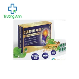 CERETON PLUS EU - Hỗ trợ tăng cường tuần hoàn não