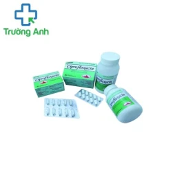 Ciprofloxacin 500mg Khapharco - Điều trị các bệnh nhiễm khuẩn