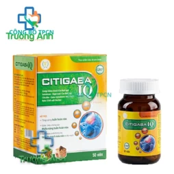 Citigaba IQ - Giúp hỗ trợ tăng cường tuần hoàn não của Medistar