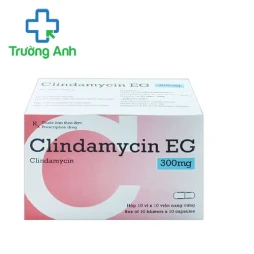 Clindamycin EG 300mg Pymepharco - Thuốc điều trị nhiễm khuẩn hiệu quả