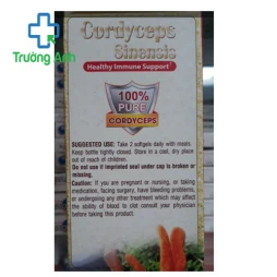 Cordyceps - Bồi bổ nguyên khí , giúp tăng cường sinh lực