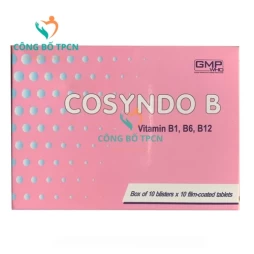 Cosyndo B Armephaco - Thuốc điều trị dự phòng thiếu vitamin nhóm B