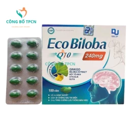 Eco Biloba Q10 - Hỗ trợ tăng cường lưu thông máu não hiệu quả