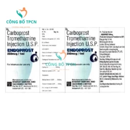 Endoprost- 250mcg - Thuốc điều trị băng huyết băng huyết sau sinh hiệu quả