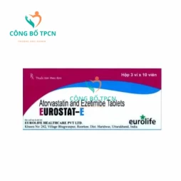 Eurostat-E