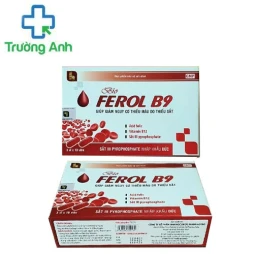 Fefolate B9 - Hỗ trợ bổ sung sắt, acid folic cho cơ thể