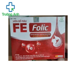 FEMI FOLIC - Giúp bổ sung sắt và acid folic cho cơ thể