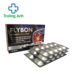 Flybon – Hỗ trợ bổ sung dưỡng chất cho khớp