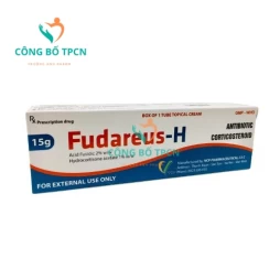 Fudareus-H 15g VCP - Thuốc điều trị viêm da