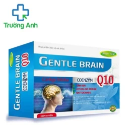 Gentle Brain Minh Tâm - Giúp tăng cường tuần hoàn máu não