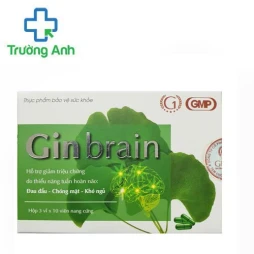 Gin Brain - Hỗ trợ giảm triệu chứng do thiểu năng tuần hoàn não