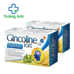 Gincoline Fort – Hỗ trợ tăng cường lưu thông máu hiệu quả 