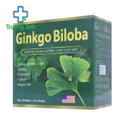 Gingko Biloba - Hỗ trợ điều trị thiểu năng tuần hoàn não