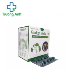 Ginkgo Biloba 120 - Hỗ trợ tăng cường lưu thông máu