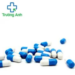 Ginkgo biloba Pro - Hỗ trợ tăng cường khả năng hoạt động của não