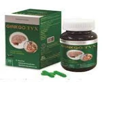 Ginkgo TVX - Giúp hoạt huyết, tăng cường tuần hoàn máu não