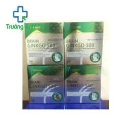Ginko Brain TL - Giúp hoạt huyết, tăng cường lưu thông máu