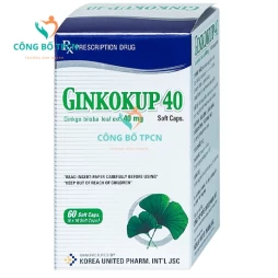Ginkokup 40mg - Thuốc điều trị các bệnh rối loạn trí não của Korea