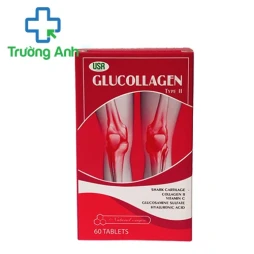 Glucollagel - Giúp tái tạo các tổn thương của sụn khớp hiệu quả