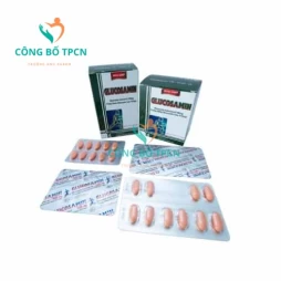 Glucosamin 500mg Khapharco - Thuốc điều trị loãng xương