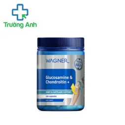Glucosamine & Chondroitin - Giúp giảm viêm đau xương khớp