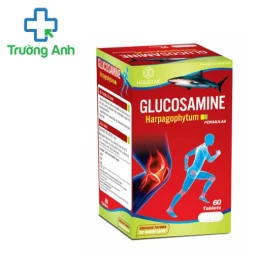 Glucosamine Harpagophytum - Bổ sung dưỡng chất nuôi dưỡng khớp