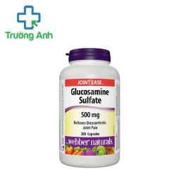 Glucosamine sulfate 500mg - Hỗ trợ điều trị viêm xương khớp